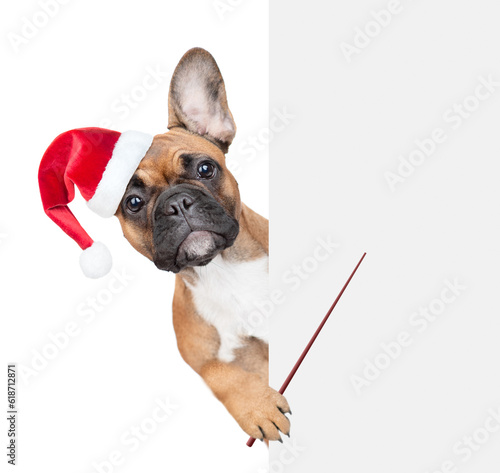 Funny french bulldog puppy wearing red santa hat  looks from behind empty white banner and points away on empty space. isolated on white background