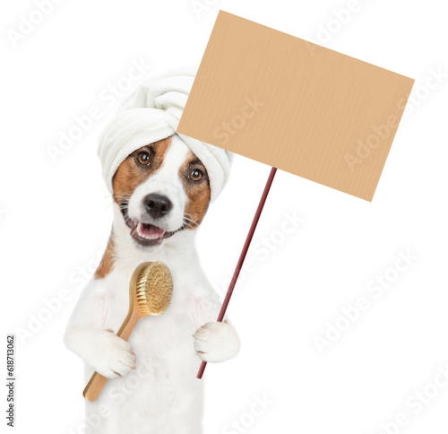 Funny jack russell terrier puppy with towel on it head shows empty placard. isolated on white background © Ermolaev Alexandr
