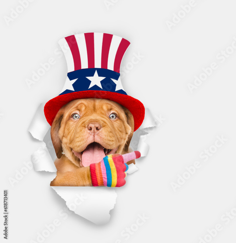 Happy Mastiff puppy wearing like Uncle Sam looking through a hole in paper and points away on empty space. isolated on white background © Ermolaev Alexandr