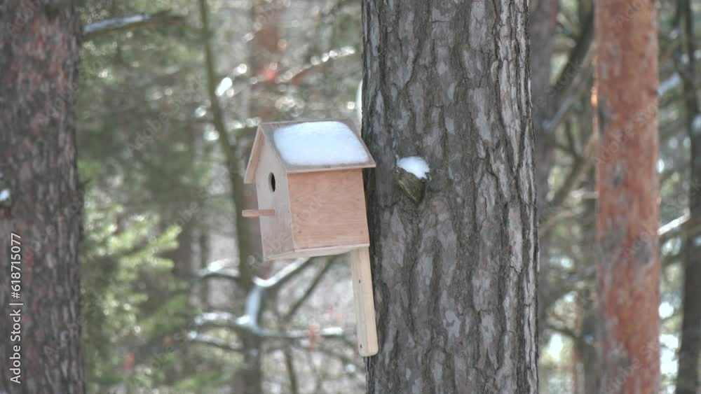 Wooden birdhouses on a pine trees in the park. Birdhouse on a pine in the forest. Simple birdhouse design. Shelter for bird breeding
Wooden birdhouses on a pine trees in the park. Birdhouse on a pine in the forest. Simple birdhouse design. Shelter for bird breeding