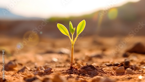Little Seedling Plant is growing in dry ground.  Generative AI
