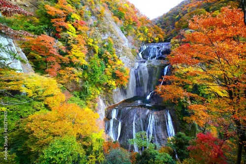 袋田の滝