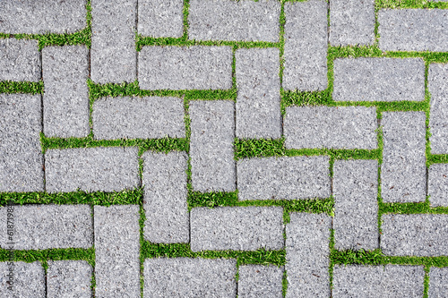 The old paving slabs have sprouted grass