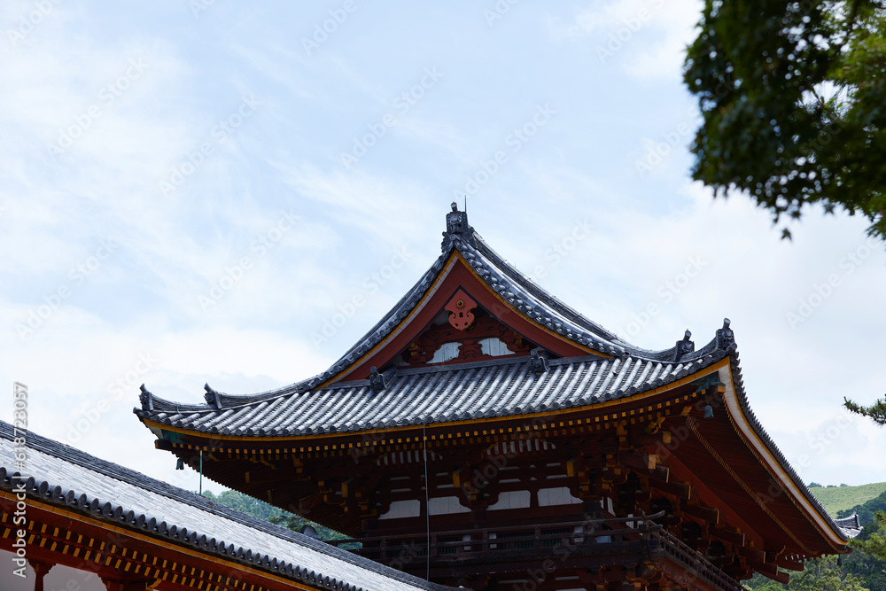 Japanese shrine roof, Japan travel
