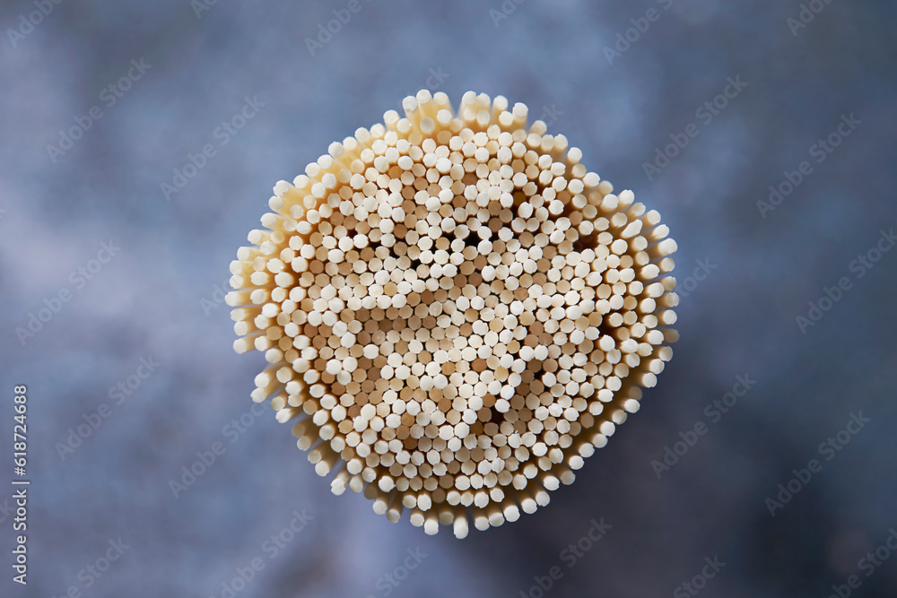 Fototapeta premium Close-up of a bundle of dried noodles