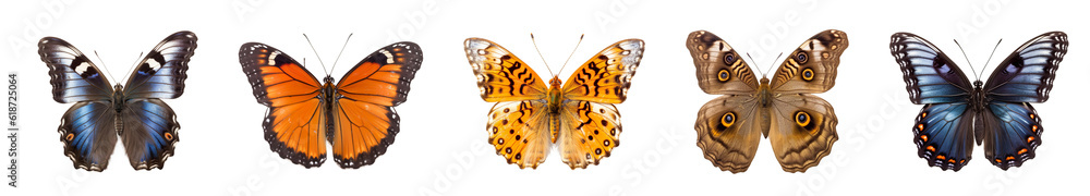 collection of different colorful butterflies isolated on transparent white background 