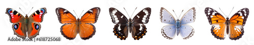 collection of different colorful butterflies isolated on transparent white background  © SuperPixel Inc