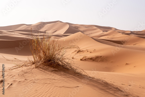 Fototapeta Naklejka Na Ścianę i Meble -  Picturesque dunes in the Erg Chebbi desert, part of the African Sahara