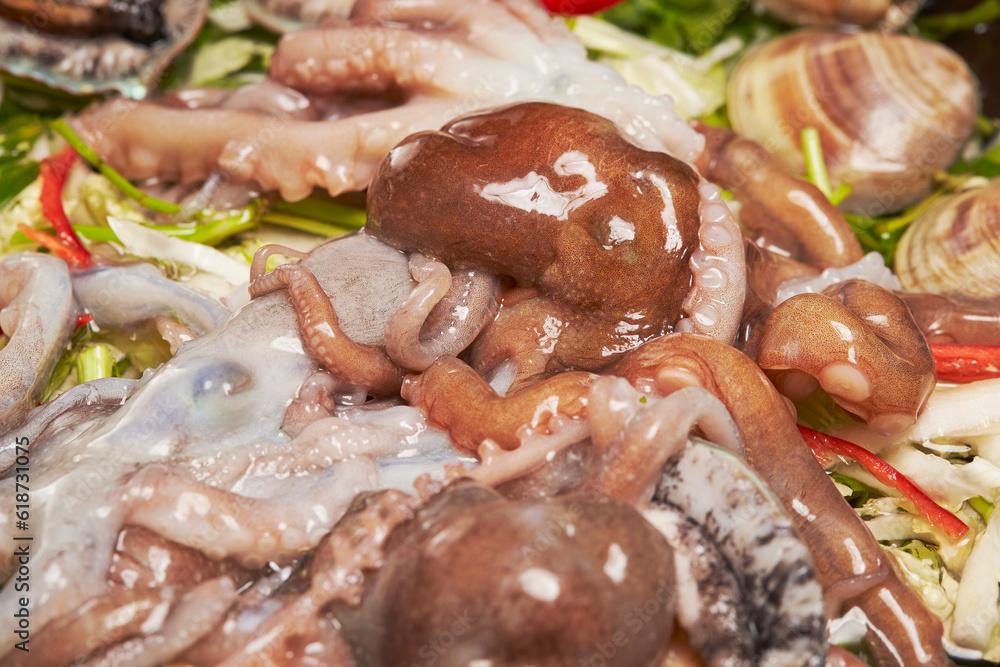 Octopus Soup, Octopus and seafood soup Octopus Soup, Octopus and seafood soup