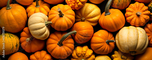 Fall Festivities: Colorful Pumpkins Background for Autumn Decor