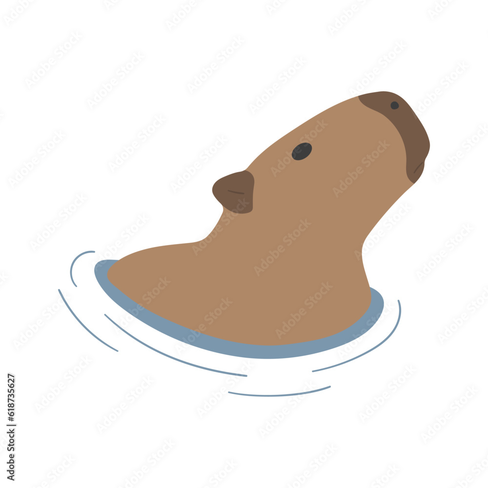 Obraz premium capybara single 40 cute on a white background, vector illustration.