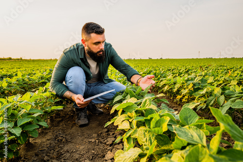 Canvas Print Portrait of farmer who is cultivating soybean