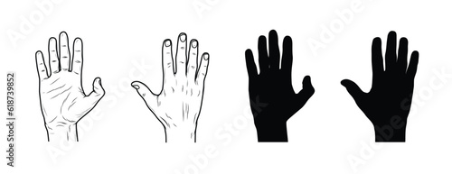 hand drawn illustration. Illustration Of Hand - Front And Back Of The Hand