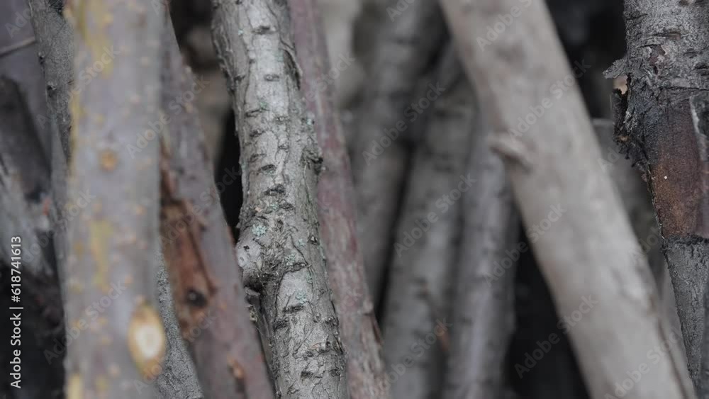 Branches and sticks. Old Dry Firewood. Beautiful texture background. Type 2 Branches and sticks. Old Dry Firewood. Beautiful texture background. Type 2