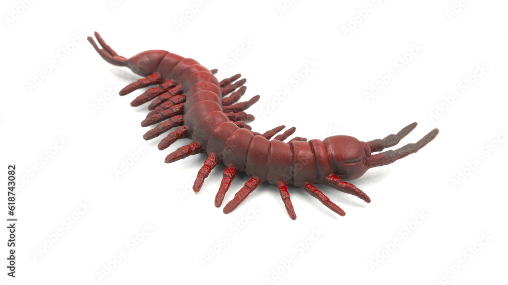 Toy orange centipede, isolated on white background Toy orange centipede, isolated on white background