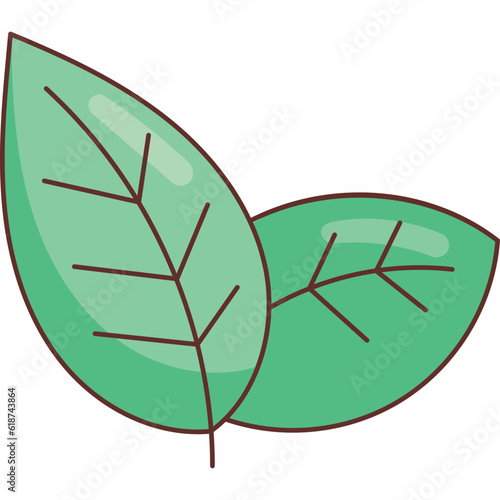 Mint Leaves