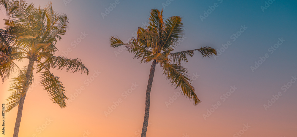 Artistic minimal nature view, sky and coconut palm tree with vintage effect. Relaxing serenity, dream fantasy colors, panoramic nature wallpaper. Tropical summer island skyline beach, beauty in nature