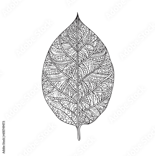 Vector drawing of leaves and flowers for adult coloring books. Doodle ornament in black and white. Hand draw vector illustration.