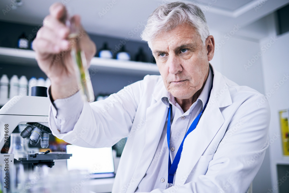 Plants, test tube and scientist man for pharmaceutical research, sustainable or herbs medicine in laboratory. Medical pharmacist or senior person in science analysis or focus in eco friendly solution Plants, test tube and scientist man for pharmaceutical research, sustainable or herbs medicine in laboratory. Medical pharmacist or senior person in science analysis or focus in eco friendly solution