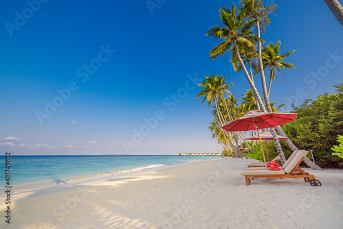 Tropical beach background summer landscape sunny sky. Chairs beds umbrella palm trees. Closeup sand calm sea waves coast. Relax wellbeing carefree summertime love couple leisure vacation destination