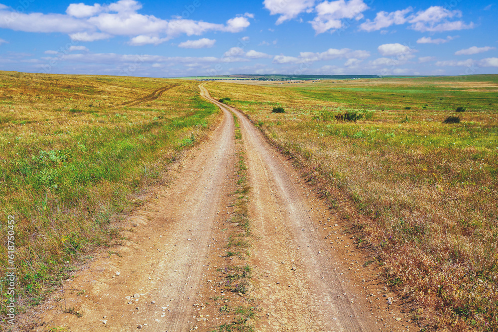 Endless dirt road in the steppe in summer