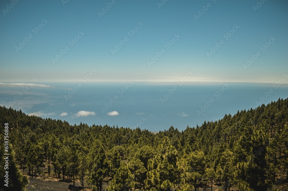 the ocean in a forested area with trees and mountains in the distance