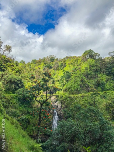 Stunning waterfall cascading through the lush, green rainforest on a cloudy day. Hawaii.