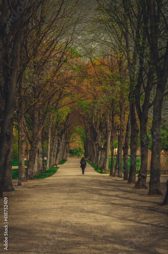 Lonely person walking on a picturesque footpath through a lush park surrounded by tall trees