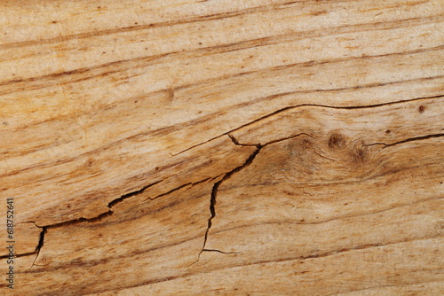 Art of wood