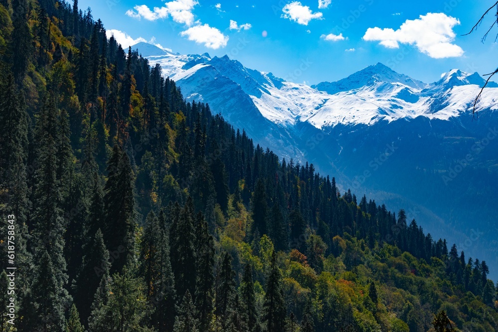 Scenic view of the snow-capped Himalayas with trees in the foreground, India.