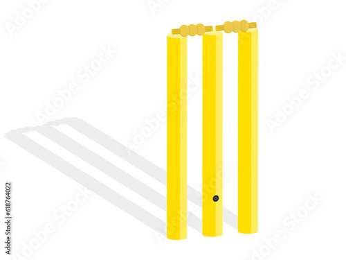 Cricket Wicket with Bails on it