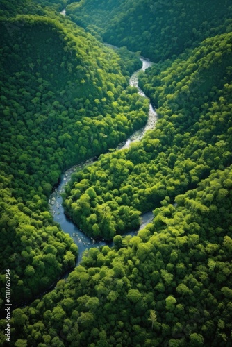 aerial view of a lush green forest with winding river, created with generative ai
