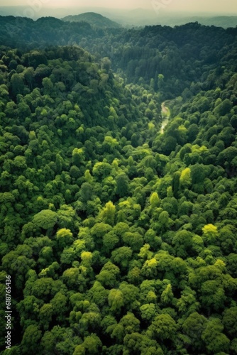 aerial view of a lush green forest, created with generative ai