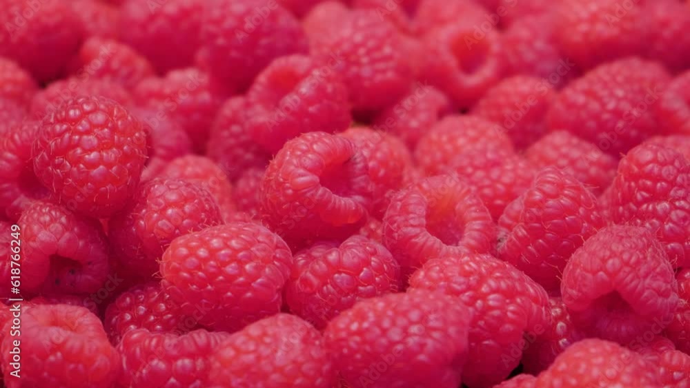 Fresh raspberries on a local street food market. Farming and agriculture concept. Vegan and vegetarian food Fresh raspberries on a local street food market. Farming and agriculture concept. Vegan and vegetarian food