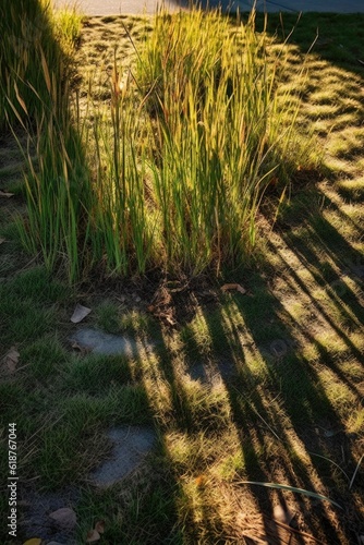 sunlit grass casting intricate shadows on the ground  created with generative ai