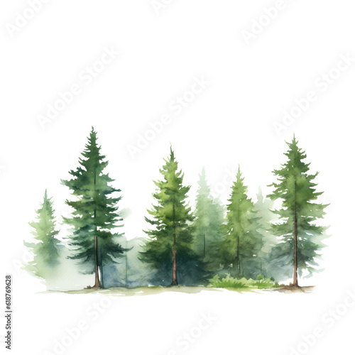 natural tree on a white background
