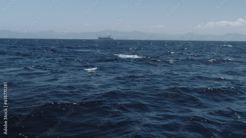 Beautiful Long-finned pilot whales (Globicephala melaena) swimming in the blue ocean Beautiful Long-finned pilot whales (Globicephala melaena) swimming in the blue ocean