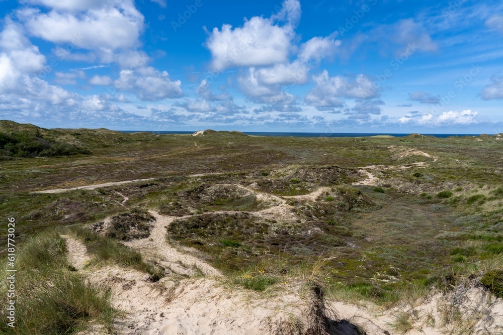 Dry clearing in Nationalpark Thy in Denmark. Dry clearing in Nationalpark Thy in Denmark.