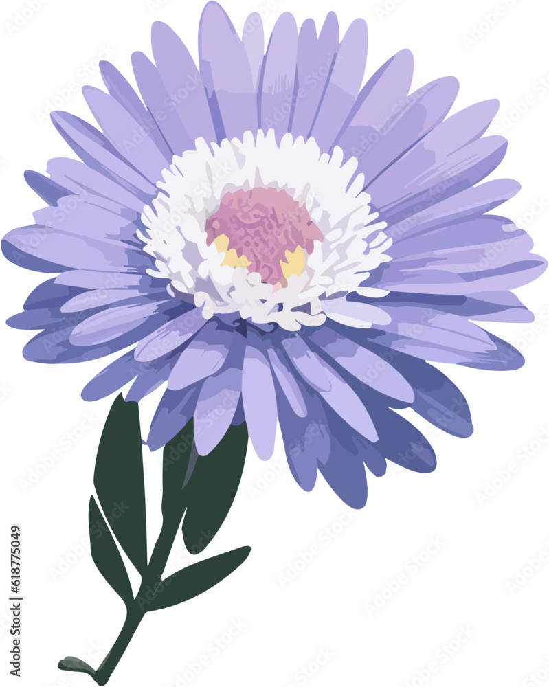 Vector of a purple gerbera flower on a white background