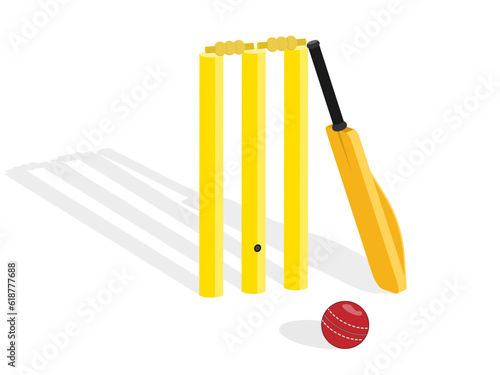 Cricket Wicket with Bat and Ball