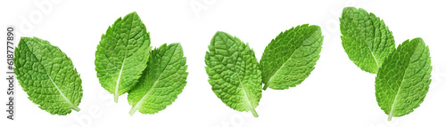 Set of fresh mint leaves cut out photo