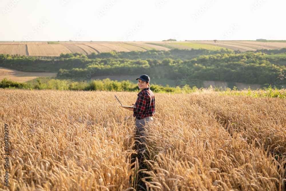 Woman farmer working with laptop on wheat field. Smart farming and digital agriculture.. Woman farmer working with laptop on wheat field. Smart farming and digital agriculture..