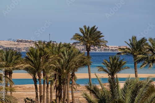 Scenic view of green palm trees against the Red Sea in Hurghada, Egypt