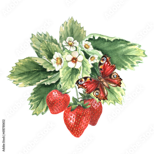 Watercolor Strawberry Bush with butterfly