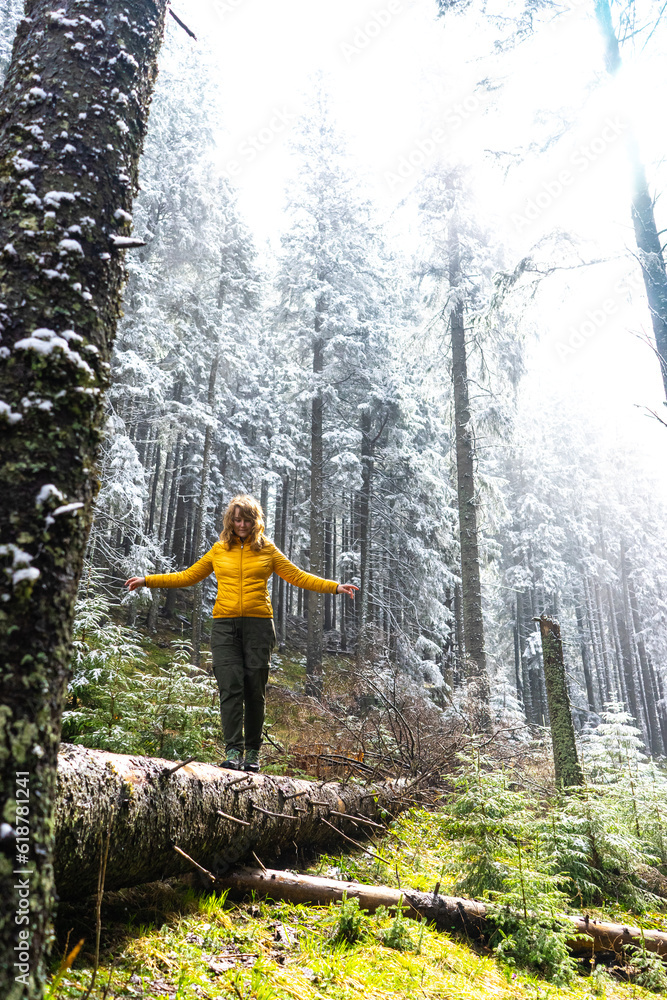 girl in the middle of snow-covered Christmas trees, pine tree winter forest, travel, walks, winter sports, fairy tale, rest, meeting of opposition of winter and spring, sun rays everywhere in the tree girl in the middle of snow-covered Christmas trees, pine tree winter forest, travel, walks, winter sports, fairy tale, rest, meeting of opposition of winter and spring, sun rays everywhere in the tree