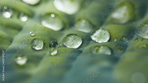 dew drops on the lush green grass, a photo with an empty space for text