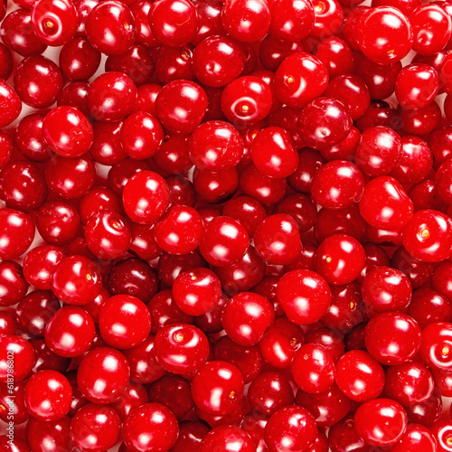 Food background from ripe berries of sour cherries close up top view