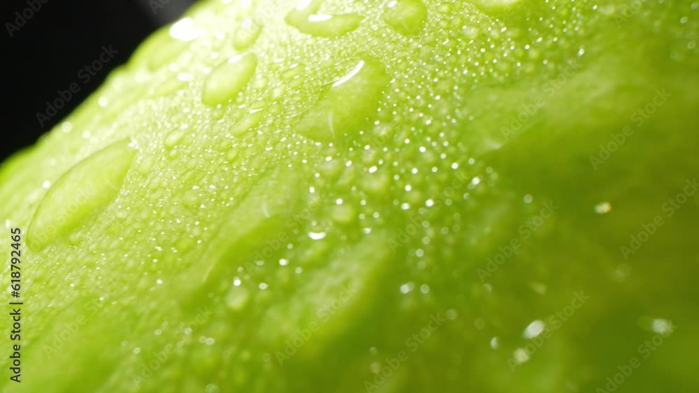 A mesmerizing macro video captures the essence of a wax gourd, adorned with delicate droplets of water. The probe lens reveals intricate details, showcasing nature's beauty in a captivating
A mesmerizing macro video captures the essence of a wax gourd, adorned with delicate droplets of water. The probe lens reveals intricate details, showcasing nature's beauty in a captivating
