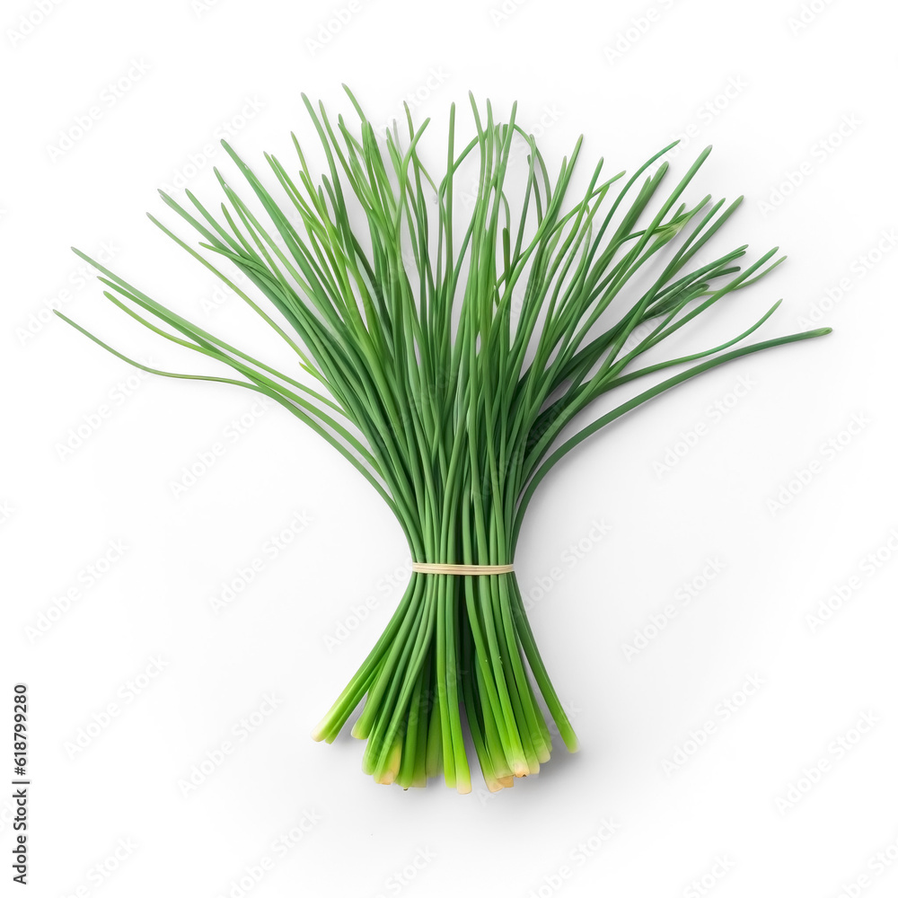 Chive onion, top view, fresh, isolated, Transparent - obrazy, fototapety, plakaty 