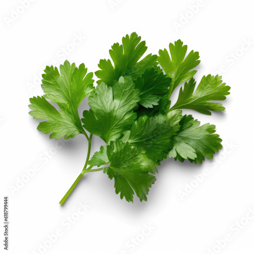 Bunch of fresh parsley, Transparent, isolated, top view
